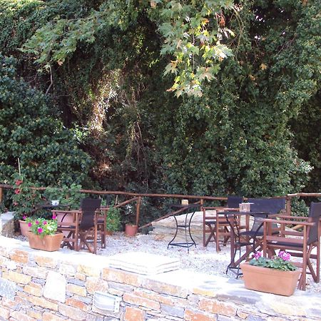 Vergopoulos Oliveyard Mouresi Exterior foto