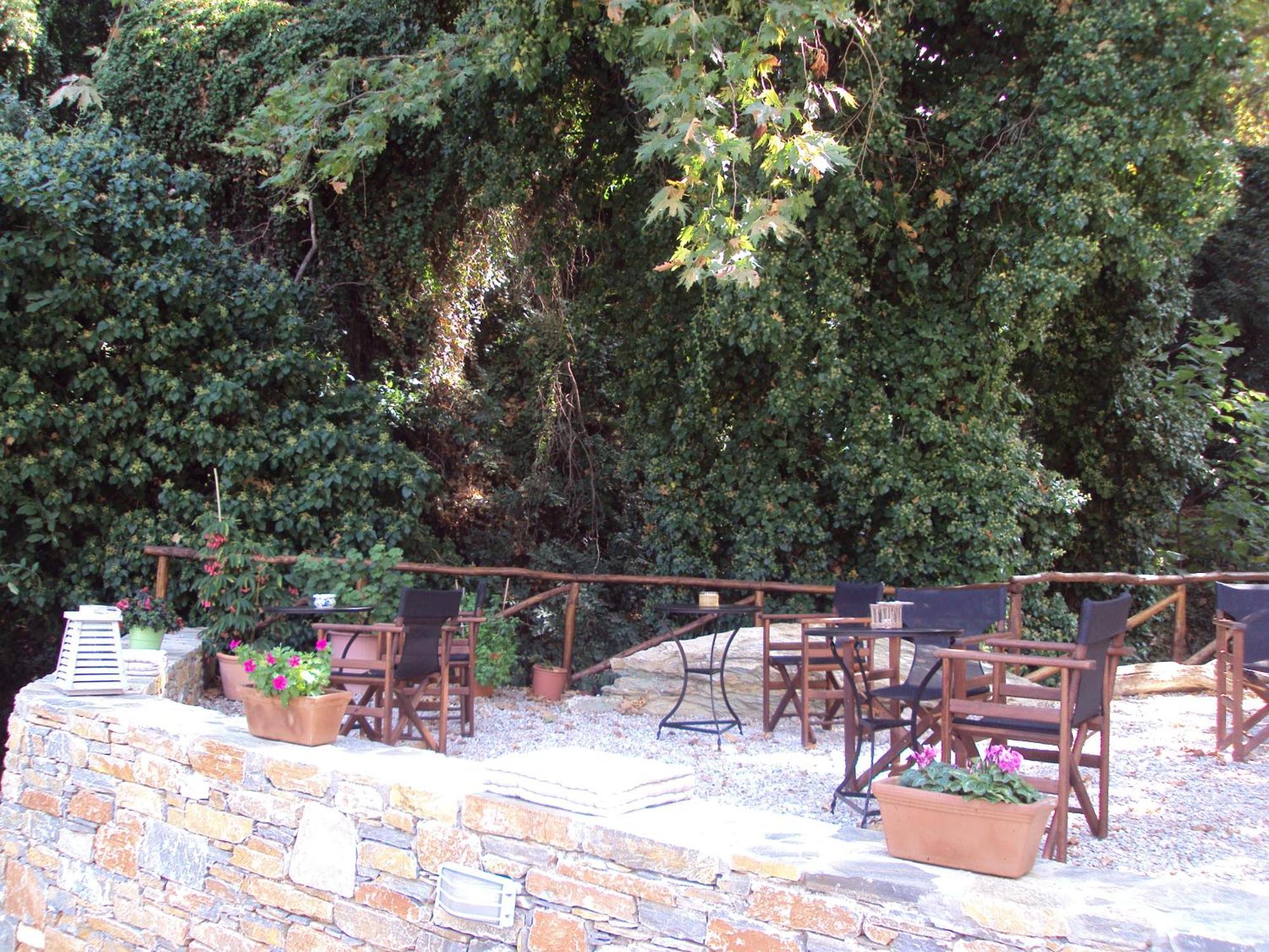 Vergopoulos Oliveyard Mouresi Exterior foto
