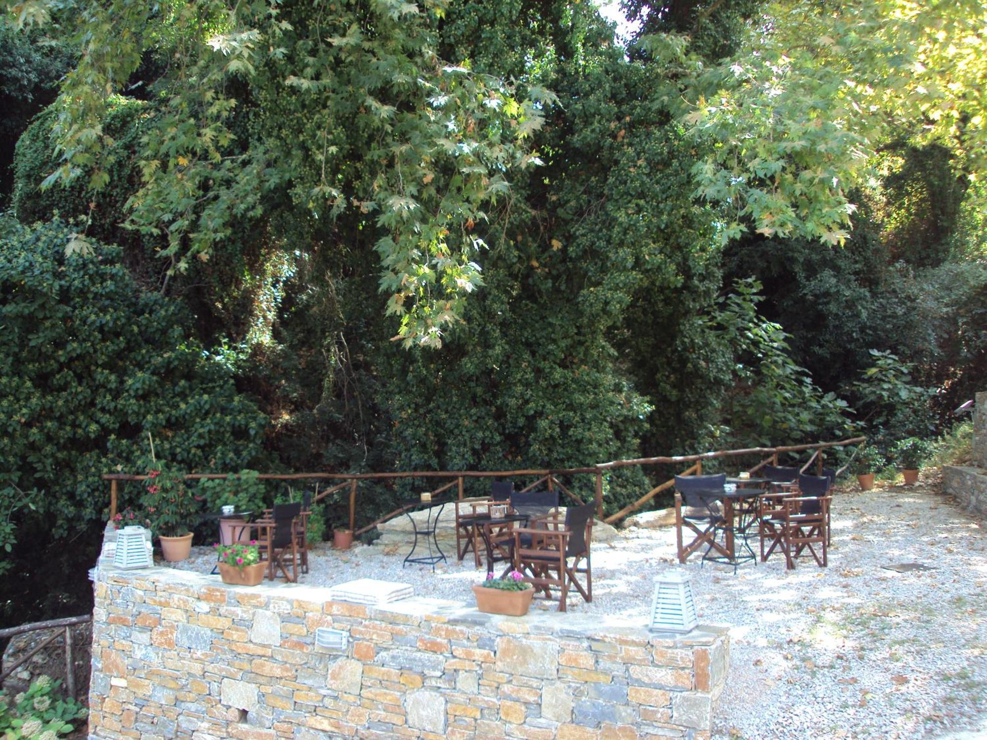Vergopoulos Oliveyard Mouresi Exterior foto