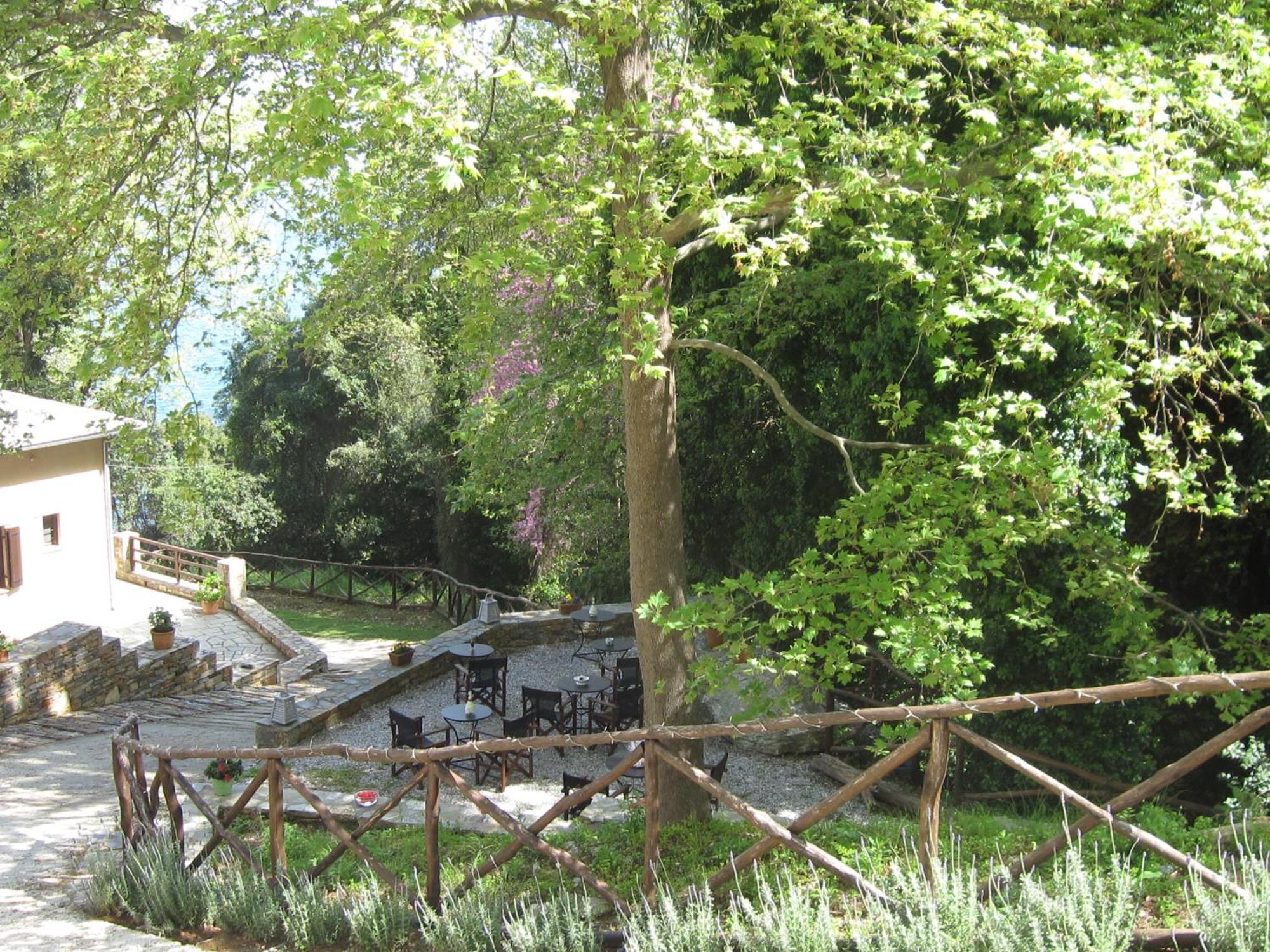 Vergopoulos Oliveyard Mouresi Exterior foto